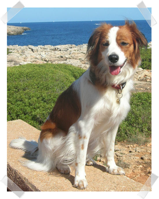 Kira in 2008
