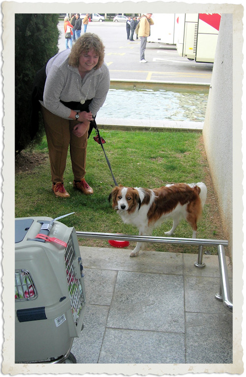 Urlaub mit Hund - Mallorca 2009