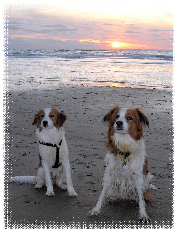 Abendstimmung am Strand in Dänemark