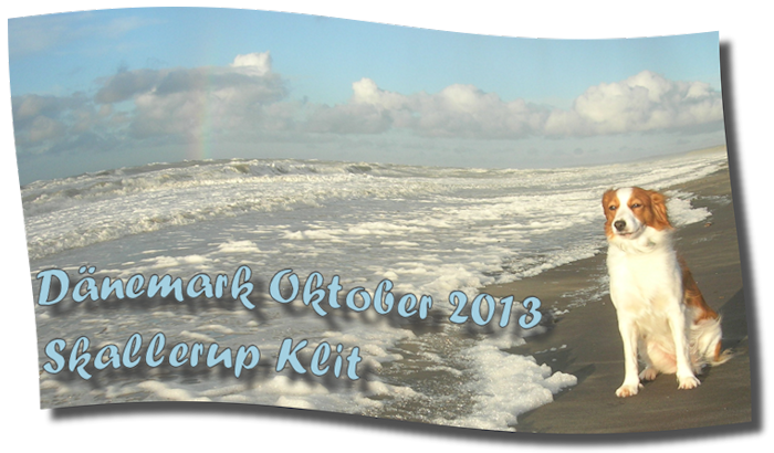 Urlaub Oktober 2013 - Skallerup Klit