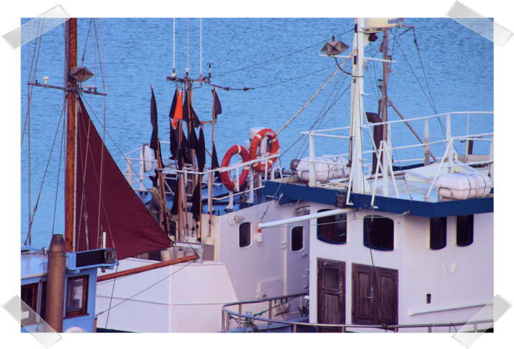 Fischereihafen von Hirtshals