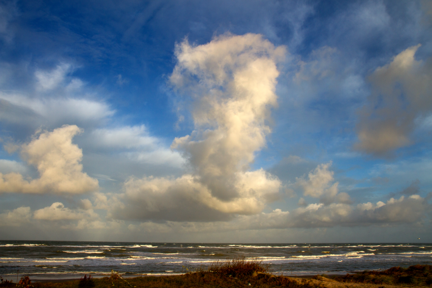 Strand bei Loenstrup