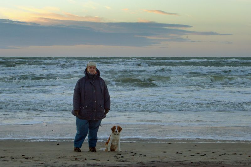 Urlaub mit Hund in Dänemark