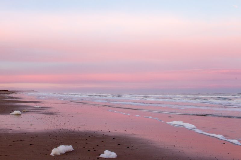 Urlaub mit Hund in Dänemark