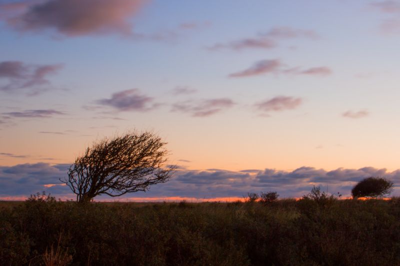 Urlaub mit Hund in Dänemark - November 2016