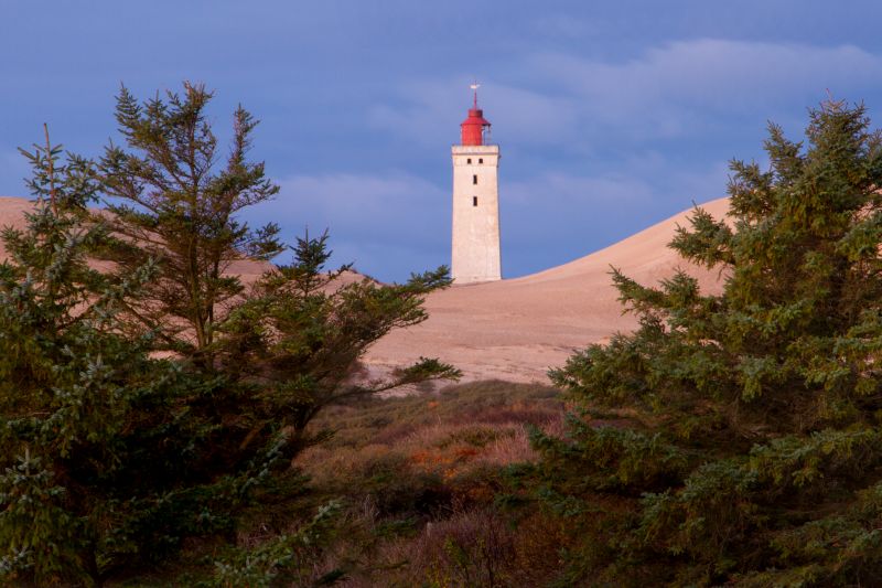 Urlaub mit Hund in Dänemark - November 2016