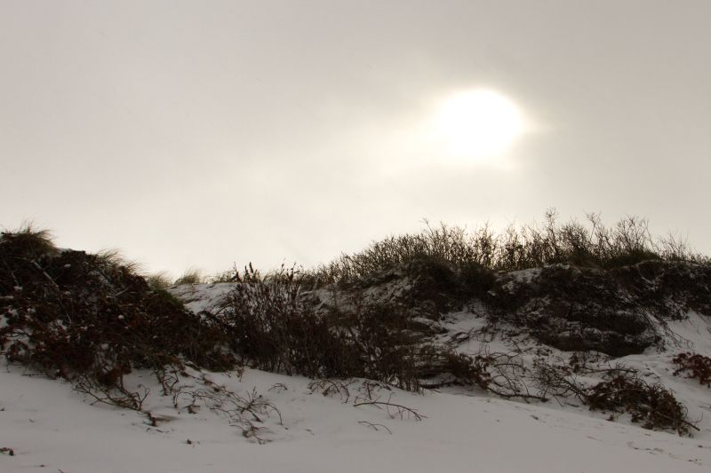 Urlaub mit Hund in Dänemark - November 2016