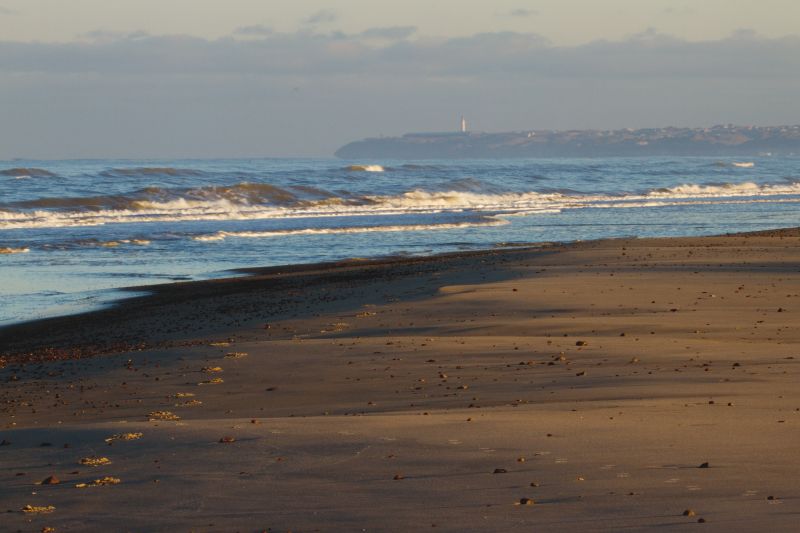 Urlaub mit Hund in Dänemark - November 2016