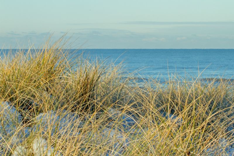 Urlaub mit Hund in Dänemark - November 2016