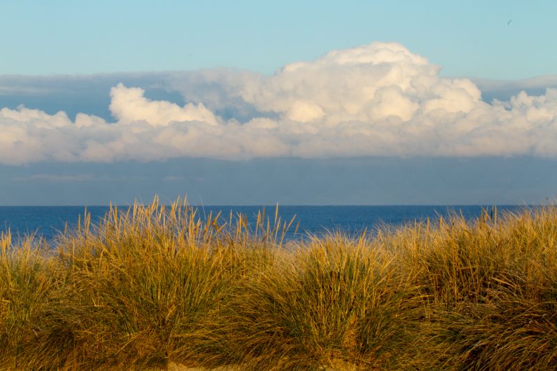 Urlaub mit Hund in Dänemark - November 2016
