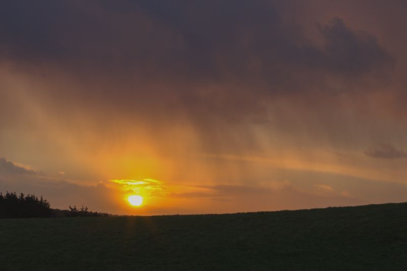 Urlaub mit Hund in Dänemark - November 2016