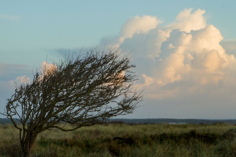 Urlaub mit Hund in Dänemark - November 2016