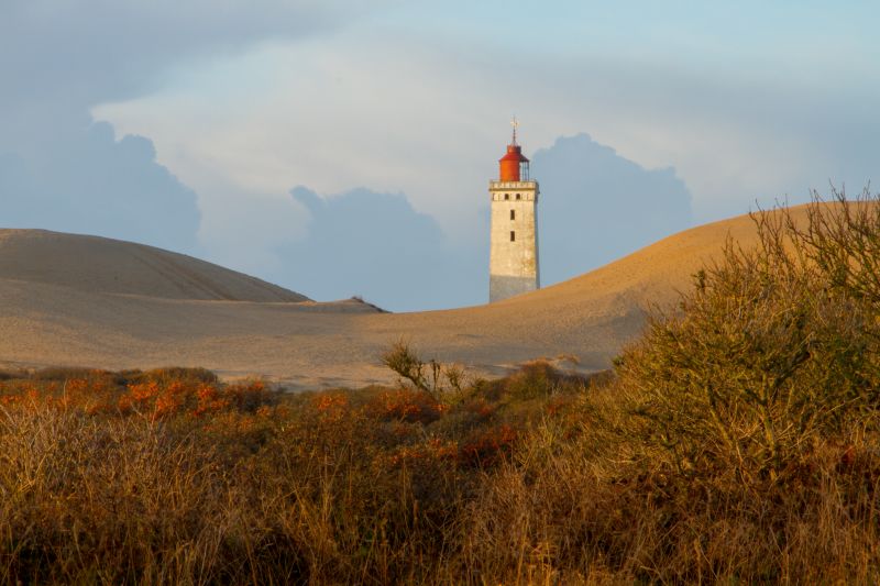 Urlaub mit Hund in Dänemark - November 2016