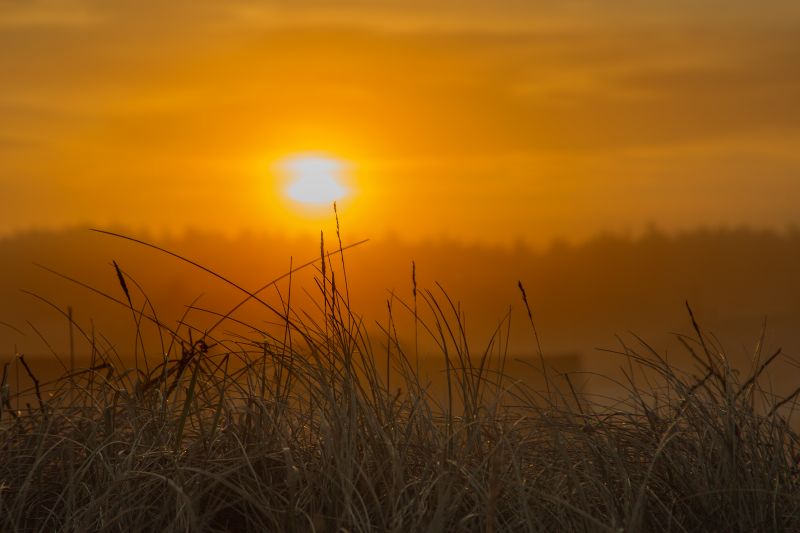 Sonnenaufgang