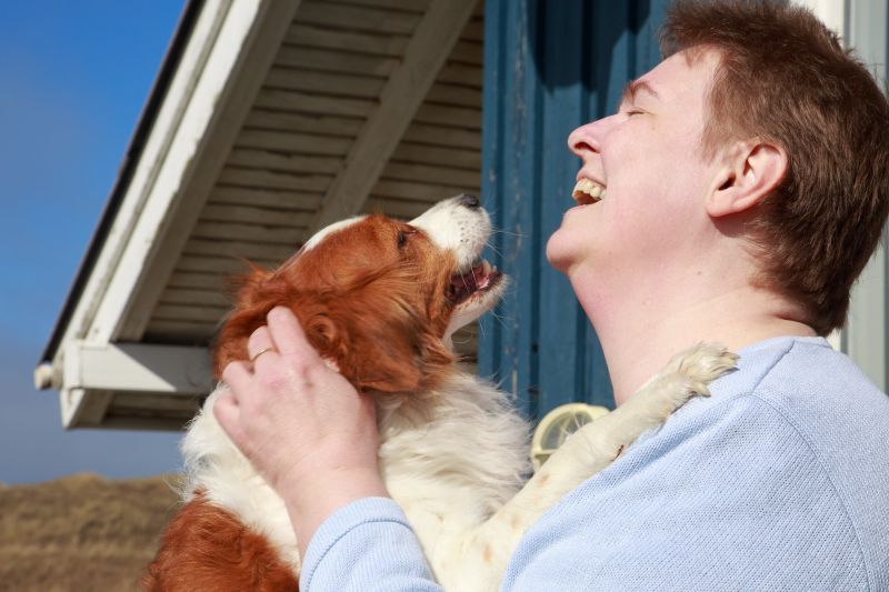 Kooikerhondje Fellpflege