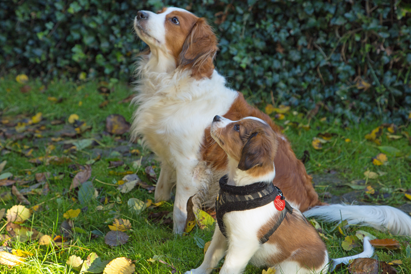 Das erste gemeinsame Bild - Godje und Hazel