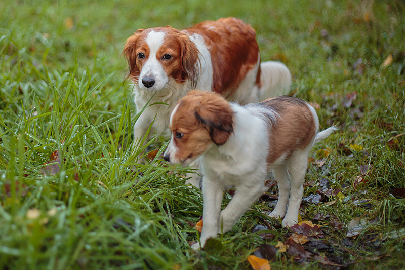 hazel und Godje