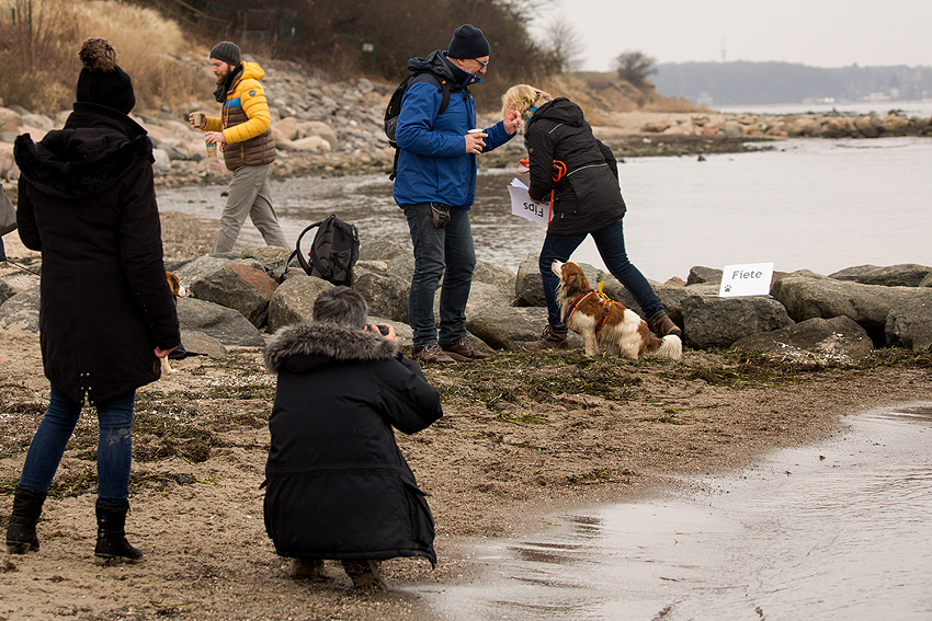 Ostsee - Kooikerspaziergang 02-2018