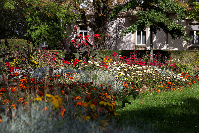 Freiburg im Breisgau