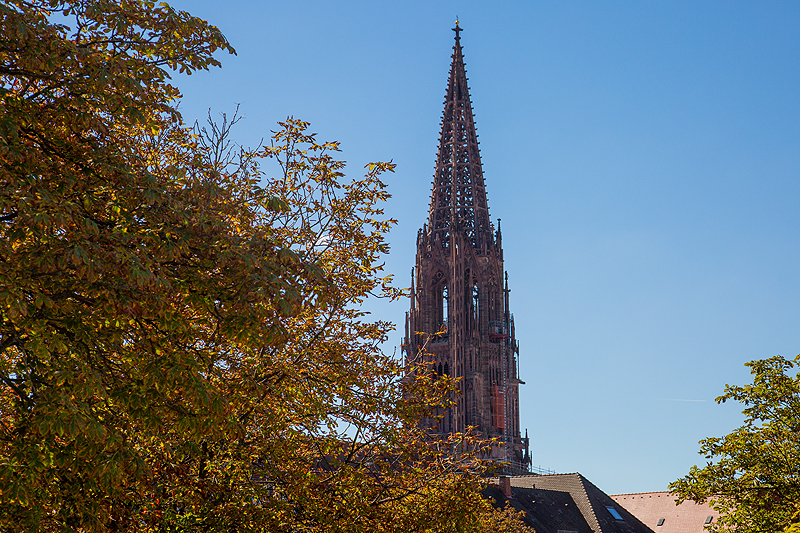 Freiburg im Breisgau