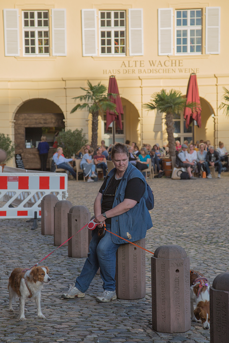 Freiburg im Breisgau