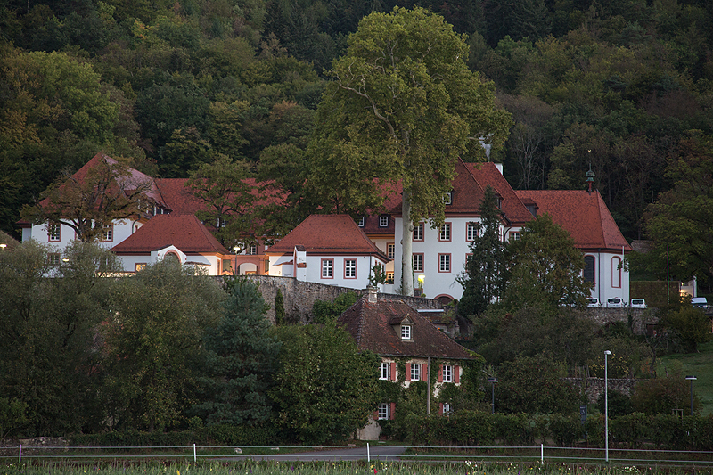 Freiburg im Breisgau