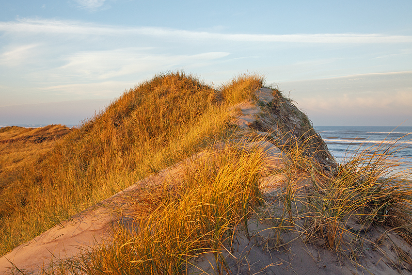 Urlaub mit Hund in Dänemark - November 2016