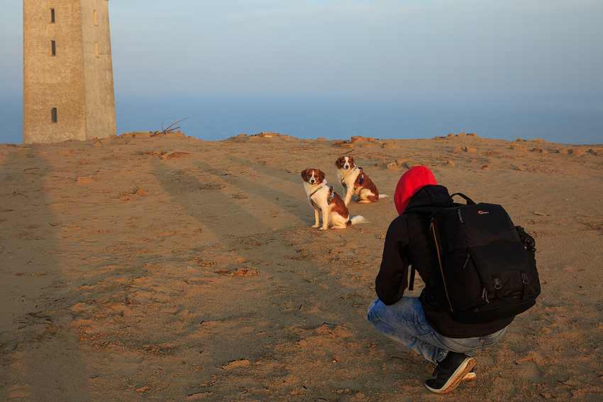 Urlaub mit Hund in Dänemark - November 2018