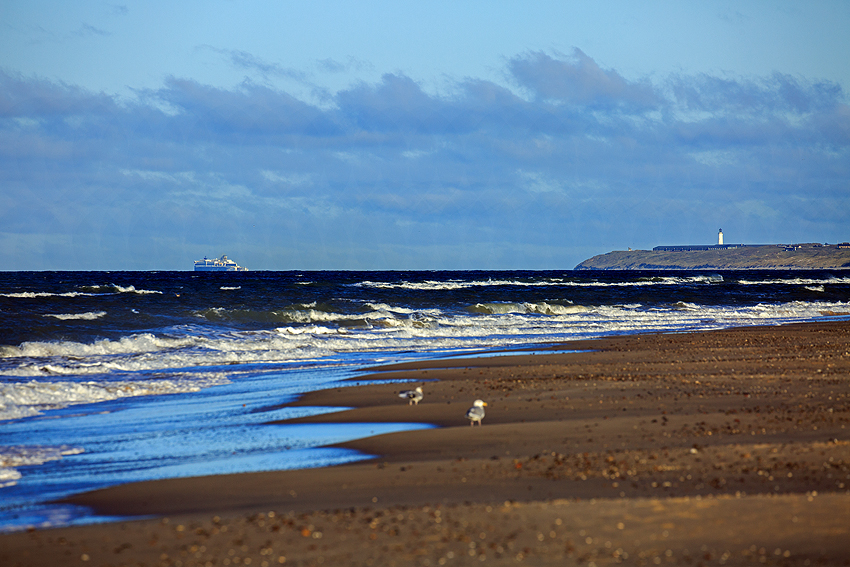 Urlaub mit Hund in Dänemark - November 2018