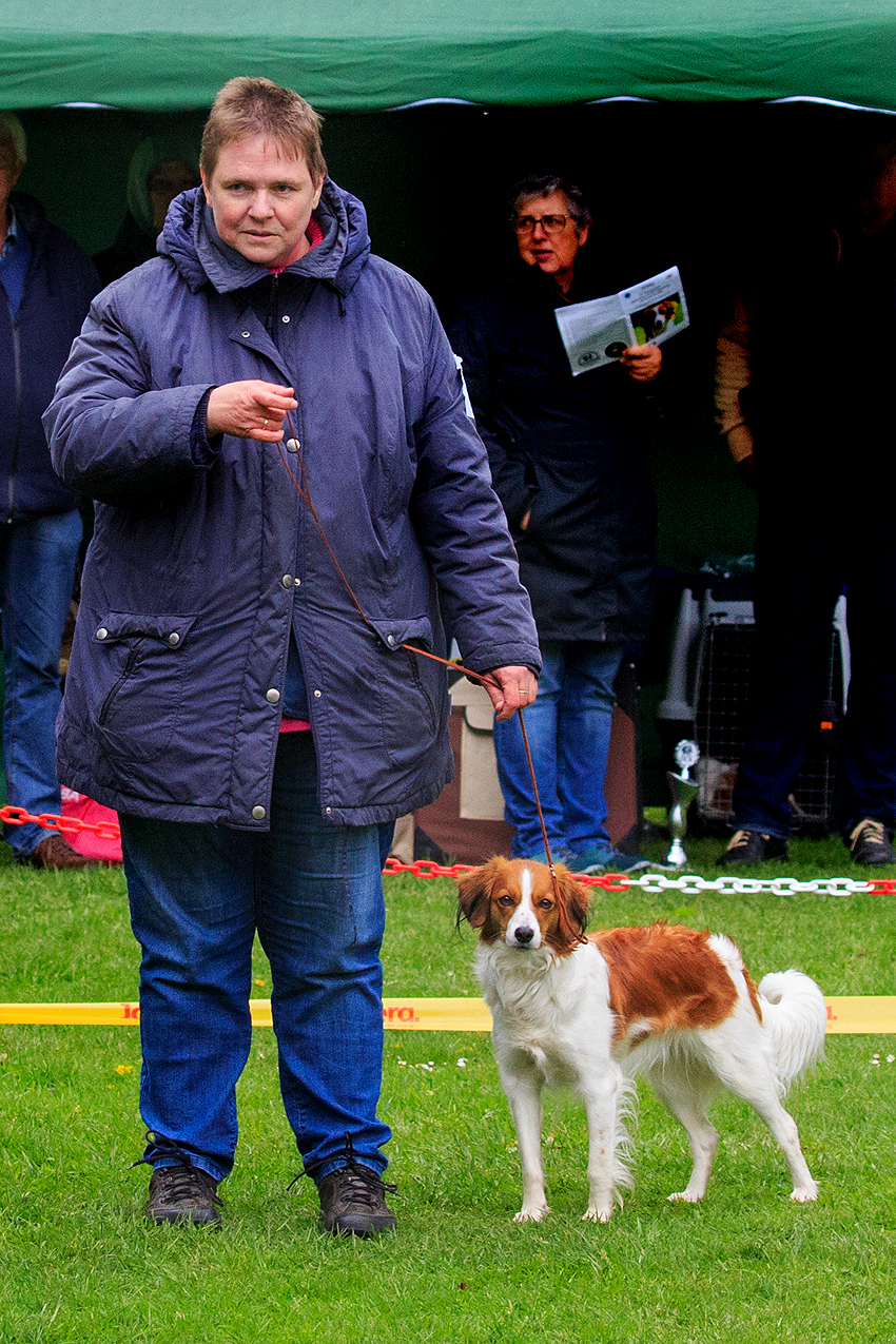 Kooikerhondje aus Langenhorn