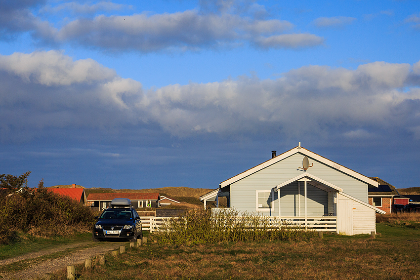 Kooikerhondje in Dänemark 2019