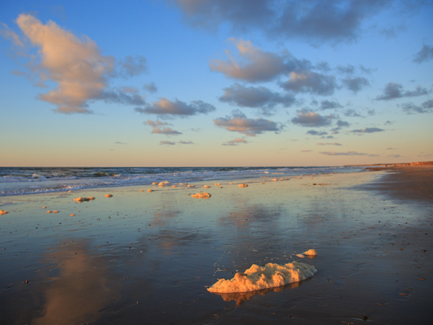 Urlaub mit Hund in Dänemark - Oktober 2019