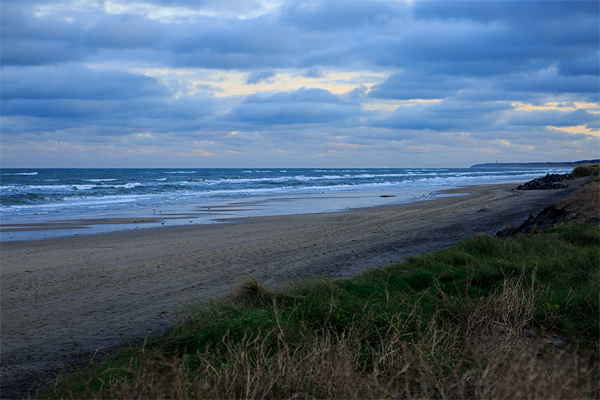 Urlaub mit Hund in Dänemark - November 2019