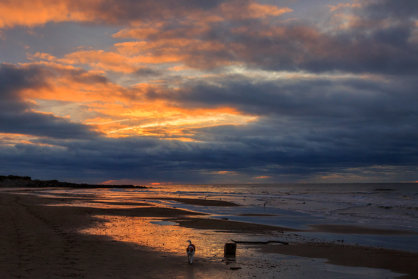 Urlaub mit Hund in Dänemark - Oktober 2019