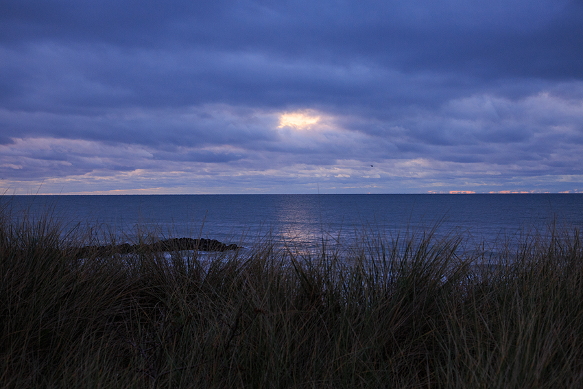 Urlaub mit Hund in Dänemark - Oktober 2019