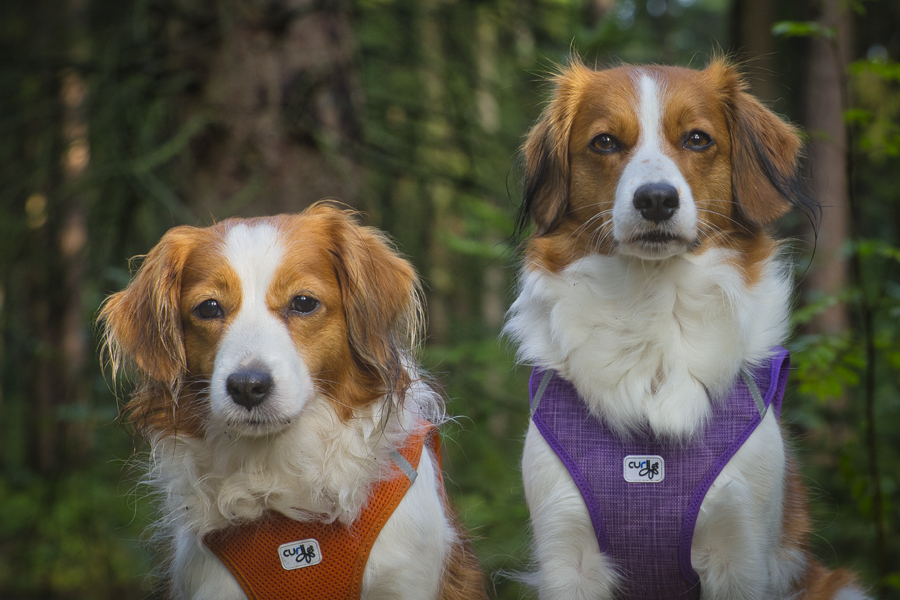 Godje und Hazel