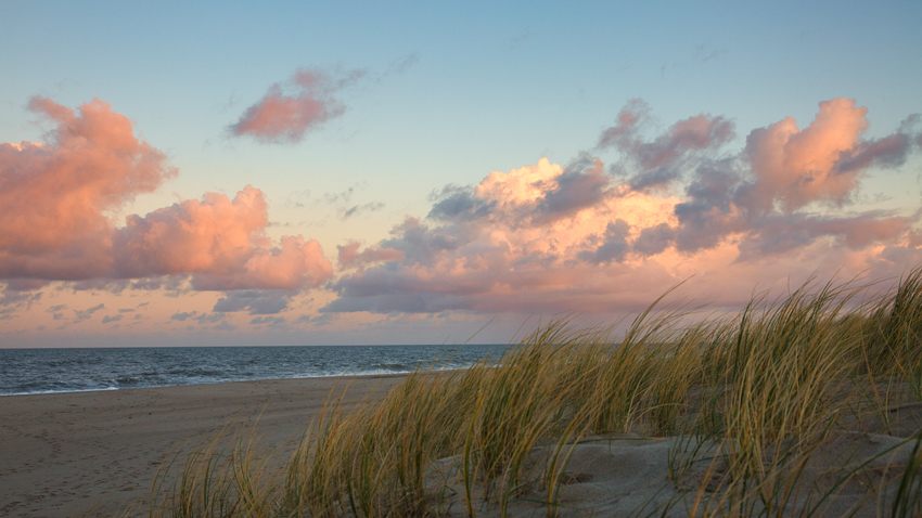 Urlaub mit Hund in Dänemark