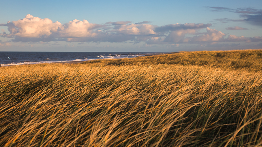 Urlaub mit Hund in Dänemark - November 2021