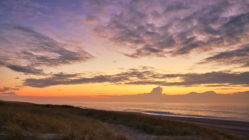 Urlaub mit Hund in Dänemark