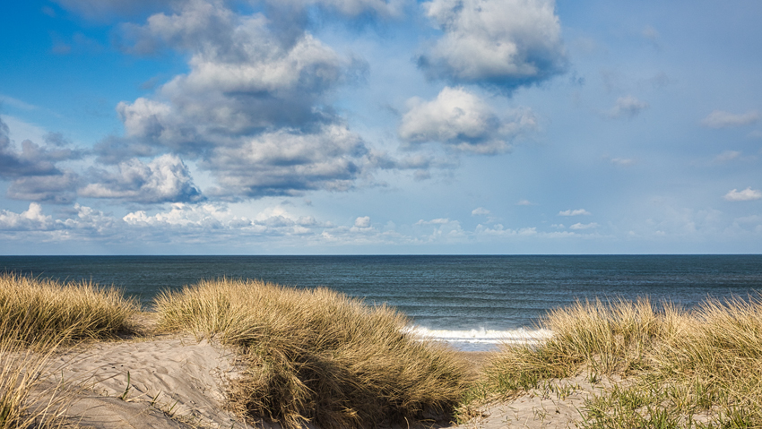 Urlaub mit Hund in Dänemark