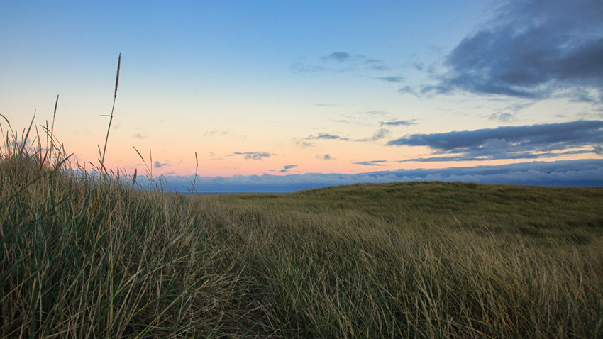 Urlaub mit Hund in Dänemark