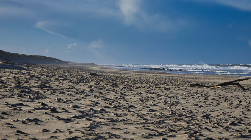 Urlaub mit Hund in Dänemark
