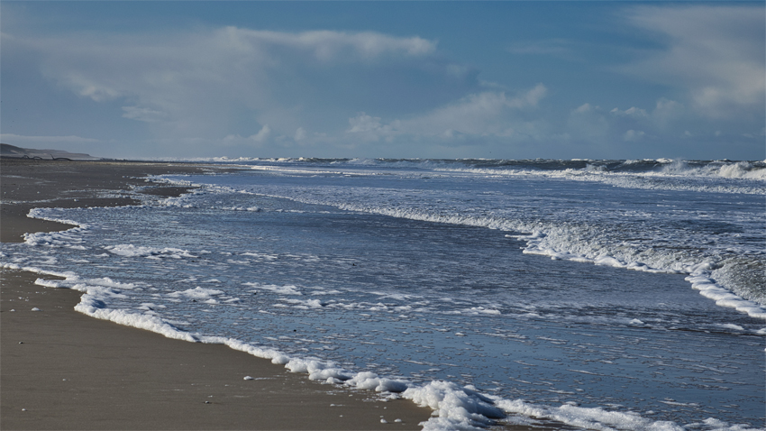 Urlaub mit Hund in Dänemark