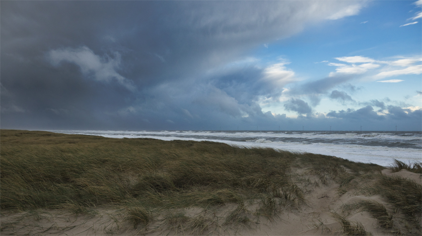 Urlaub mit Hund in Dänemark