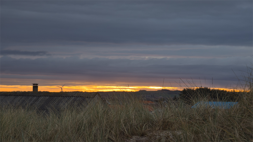 Urlaub mit Hund in Dänemark