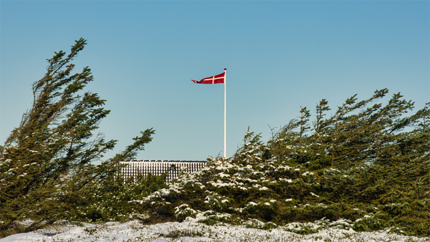 Urlaub mit Hund in Dänemark