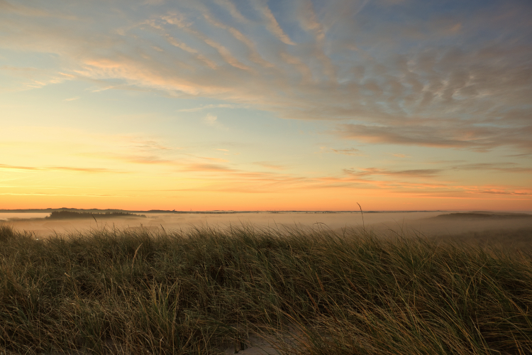 Urlaub mit Hund in Dänemark