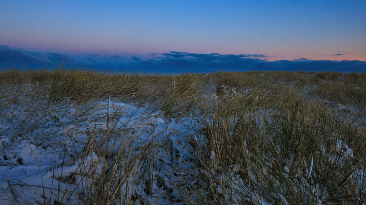 Urlaub mit Hund in Dänemark