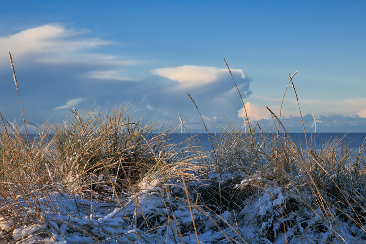 Nordicfotos - November 2024