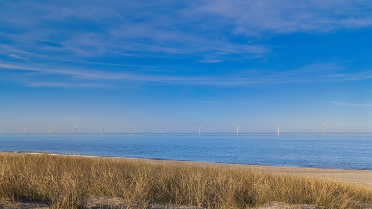 Urlaub mit Hund in Dänemark